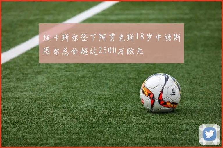 纽卡斯尔签下阿贾克斯18岁中场斯图尔总价超过2500万欧元